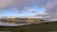 Vignette