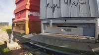 Bienen