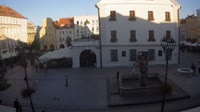 Rynek