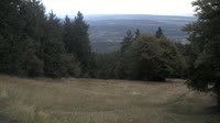 Vignette