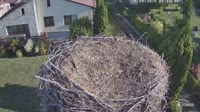 Molendy - Cigognes