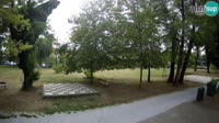 Vignette