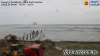 Husum - Dockkoog