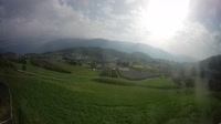 Vignette