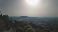 Vignette