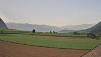 Vignette