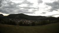 Vignette