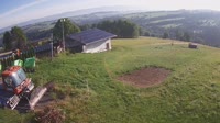 Czerwienne