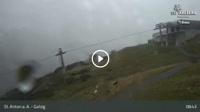 Vignette