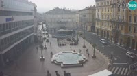 Vignette