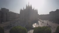 Vignette