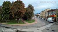 Vignette