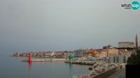 Vignette