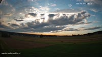 Vignette