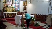 Jeleń - Iglesia