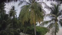 Akasdhoo - Hard Rock Hotel Maldives
