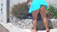 Vignette