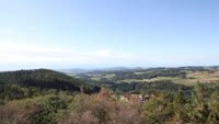 Vignette