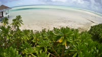 Île de Maamutaa - Pullman Maldives Maamutaa