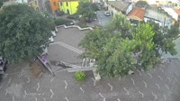 Vignette