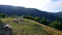 Vignette