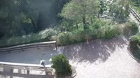 Miniaturansicht