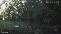Zagnańsk - Bartek