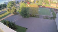 Vignette