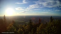 Vignette