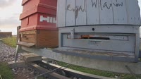 Pszczoły
