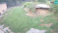 Lublana - ZOO