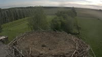 Frankfurt nad Odrą - Lossow - Bociany