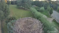 Strzelce - Bociany