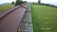 Popowo - Dovecotes