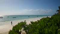 Zanzibar - Jambiani Beach
