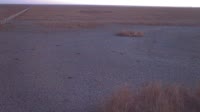 Doñana National Park - Caño de Rosalimán