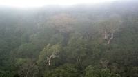 Yangambi Biosphere Reserve
