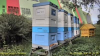 Apiary