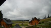 Oberharz am Brocken - Tanne