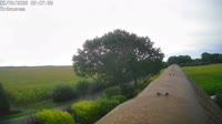 Fredenbeck - Ordenskamp