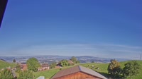 Root - Panoramic view