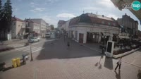 Miniatura