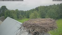 Rudno - Storks