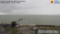 Husum - Dockkoog