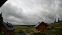 Oberharz am Brocken - Tanne