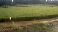 Jurong - Farmland
