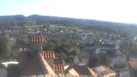 Markdorf - Storks