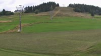 Koziniec