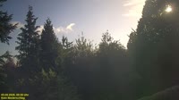 Miniatiūra