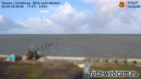 Husum - Dockkoog